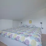 Apartman Middle Istra *