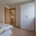 Middle Istra Apartman